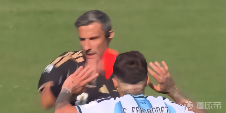 西班牙1-0阿根廷夺得第二个世界杯冠军,费兰绝杀恩佐红牌